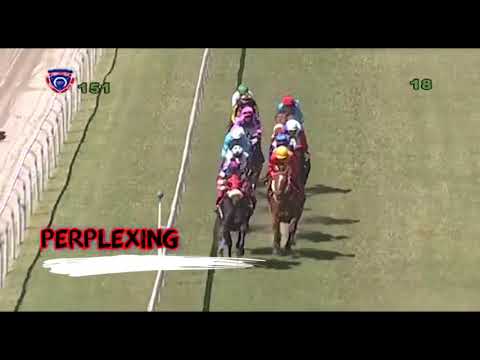 DANIEL STACKHOUSE - THE GREAT ONE 2018