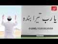 O Lord! Your Believer - Nasheed by Sheikh Mansour Al Salimi