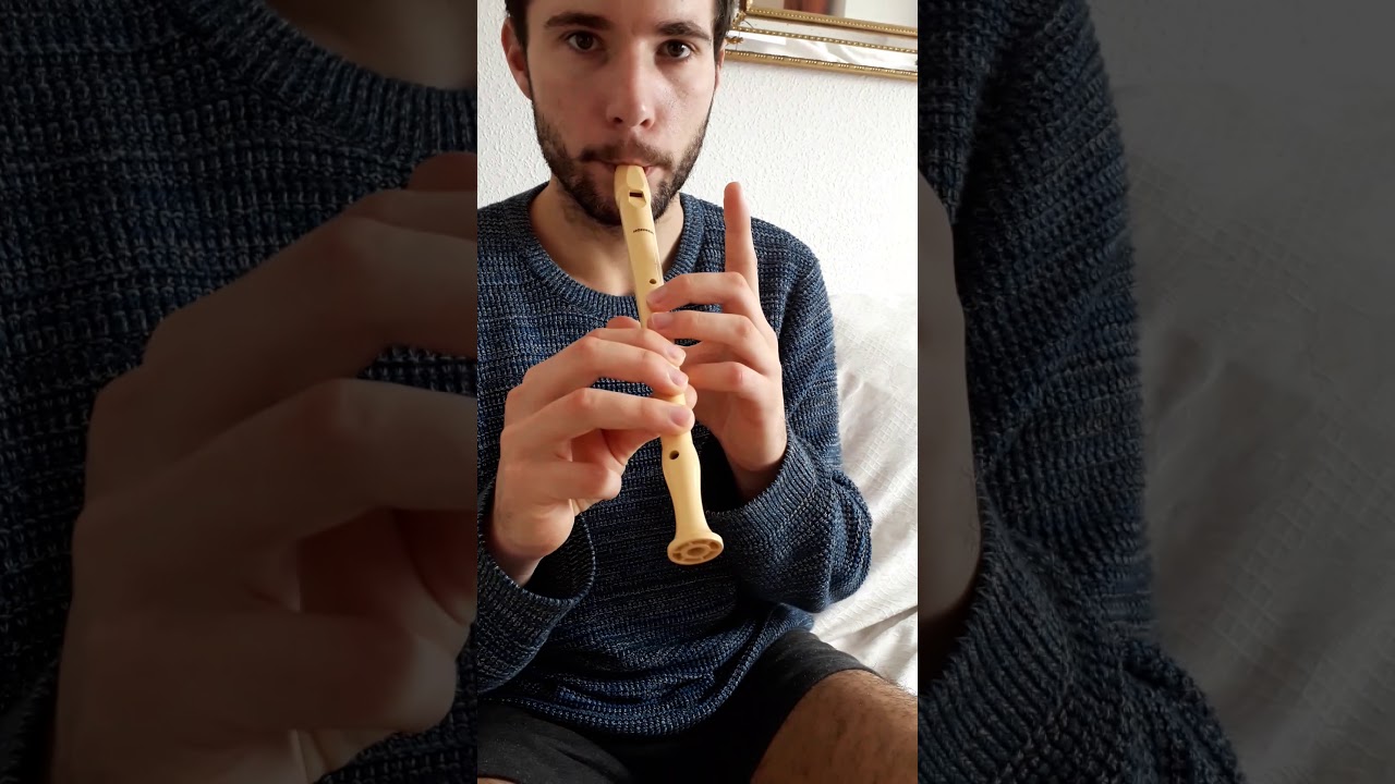 Cómo tocar en la flauta dulce (recorder) las notas re sostenido agudo o mi bemol agudo (re♯':mib')