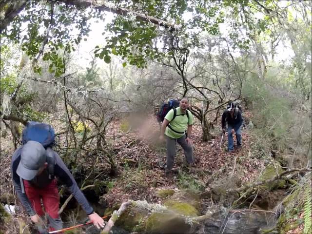 Pit&otilde;es das J&uacute;nias 2012