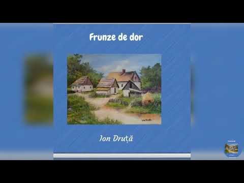 FRUNZE DE DOR_Ion Druță_Partea 7