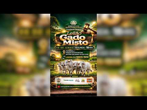 LEILÃO MISTO - SIND. RURAL DE PRESIDENTE OLEGÁRIO 08/06/2026