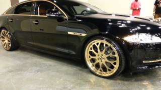 New Jaguar on Gold Forgis