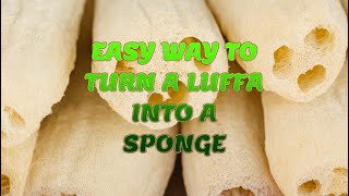 Easy Natural Luffa Sponges: The Perfect Homemade Gift!