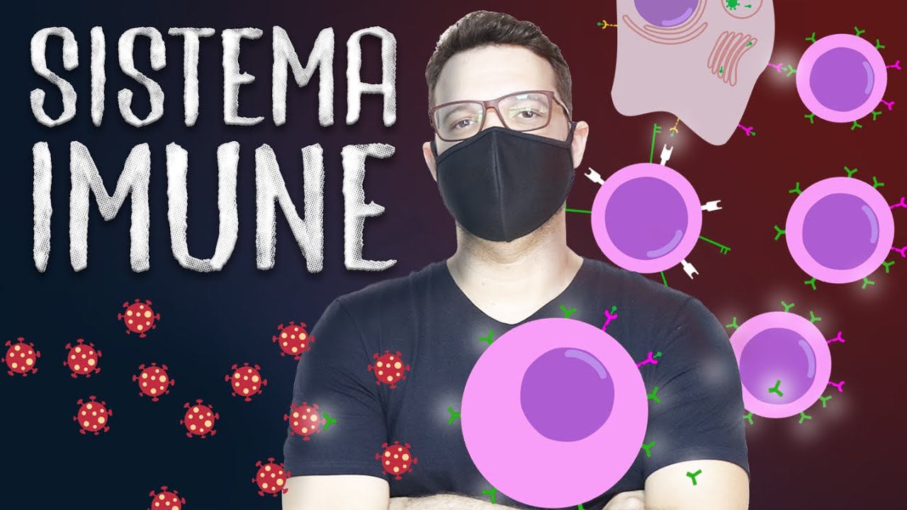 Sistema imunológico - Sistema Imune e Resposta Imune Adaptativa (linfócitos B e T) -  COMPLETO