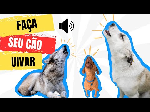 Faça seu Cachorro Uivar | Som para Cachorro Uivar