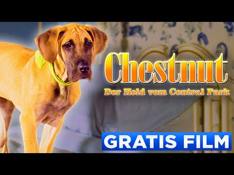 CHESTNUT: DER HELD VON CENTRAL PARK - Offizieller Film