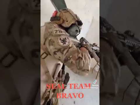Seal Team Bravo
