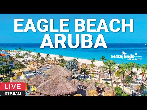 Eagle Beach Cam - Aruba 🌴☀️