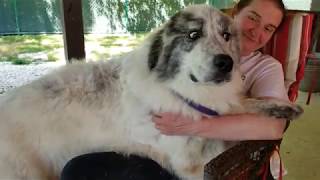 190423 Bandit Pyr