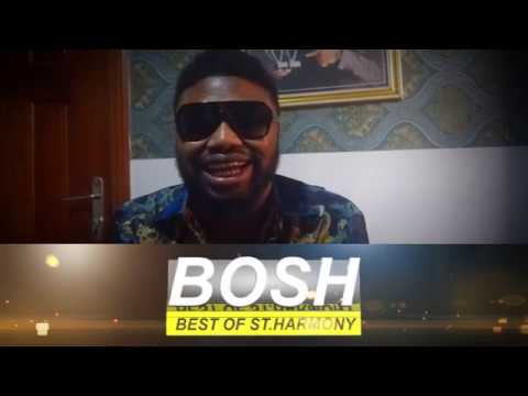 WOLE ONI STRESSES THE IMPORTANCE OF BOSH PARTICIPATION