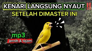 Download lagu TERBUKTI AMPUH‼️ masteran burung kenari full isian - terbaru 2026 mp3