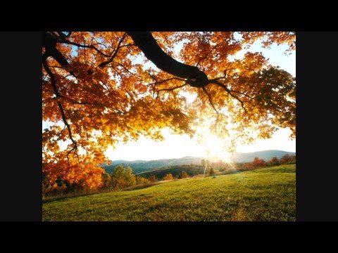 Deadmau5 & Glenn Morrison - Dj Derrick James