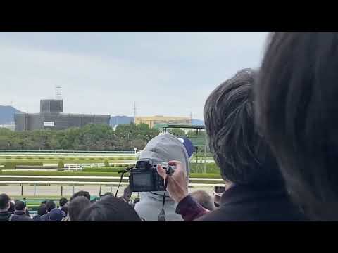 2021.10.24 #菊花賞　#タイトルホルダー #横山武史