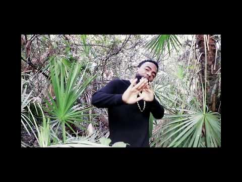 Cash TF - DMX Would Like This