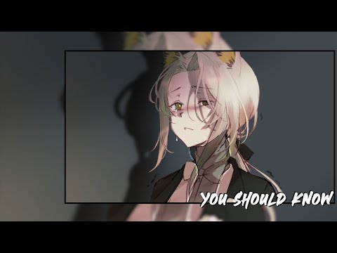 Provi, Pierre Leck, Hadar Sopher - You Should Know