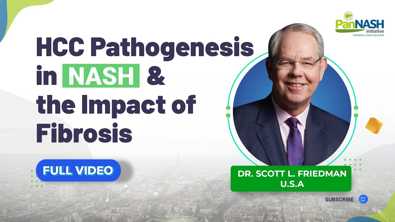 HCC Pathogenesis In NASH & The Impact Of Fibrosis (Hepatocellular Carcinoma) | Dr Scott L. Friedman