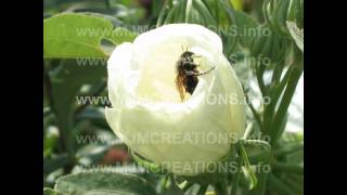 YOU'RE MY EVERYTHING