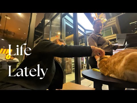 gel & the city: food and shopping :) | angelmharee