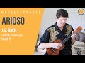 J. S. Bach Arioso performed on ukulele by Jeff Peterson