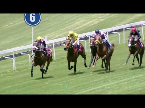 OTTO LUYKEN - RACE 2 #turffontein 03-12-2022