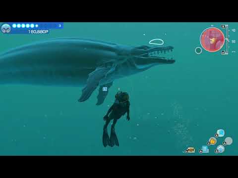 I found New Creatures in Endless Ocean Luminous!