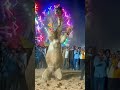 Rajasthan Camel Dance Shorts Youtubeshorts Viralshorts Camel Camedy Dance Dancevideo Dancer