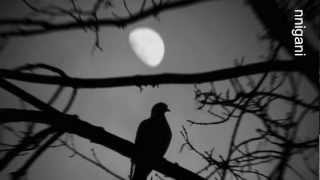 Waldeck  -  Dope Noir