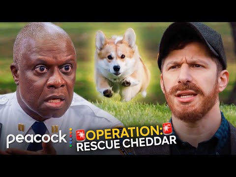 Brooklyn Nine-Nine | Jake Goes Undercover to Help Captain Holt Save Cheddar