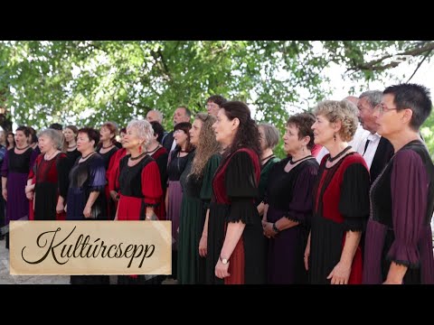 50 éves a Vox Humana Kamarakórus – Kultúrcsepp