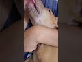 Emily Red Nose Kissing
