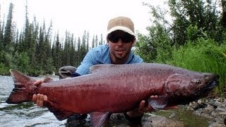 preview picture of video 'MULTI-DAY Alaska King Salmon Fishing - Koenigs Lachs Angeln - Float Trip'