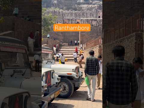 Walk Through Time at Ranthambore Fort ⏳