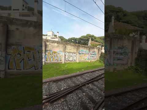 Tren de la Costa entre las estaciones Maipú y Borges, Olivos, Buenos Aires, Argentina