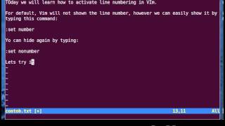 Vim Tutorial - How to Activate Line Numbers