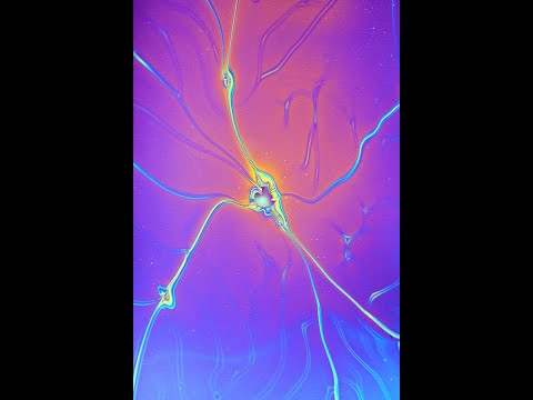 |FREE| Crazy SoFaygo x Showjoe Type Beat 2022 🌴 Hard BabySantana Type Beat - "Gauntlet"