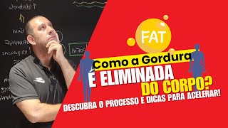 Como a Gordura é Eliminada do Corpo? Descubra o Processo e Dicas para Acelerar!