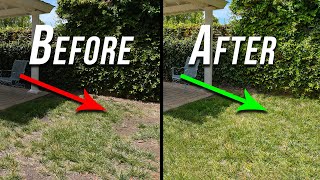EASY Fill Using the Remove Tool in Photoshop 🔥