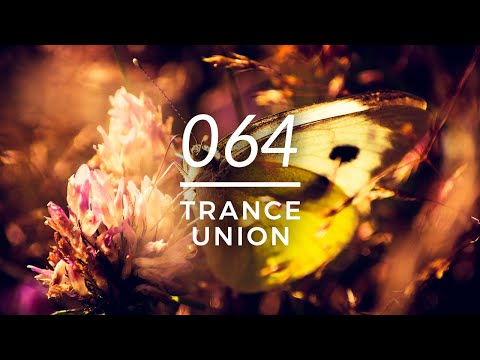 TU064: Teddist - The Butterful Lie