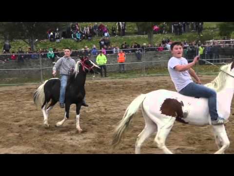 download lagu mp3 mp4 Ballinasloe Fair 2018, download lagu Ballinasloe Fair 2018 gratis, unduh video klip Ballinasloe Fair 2018