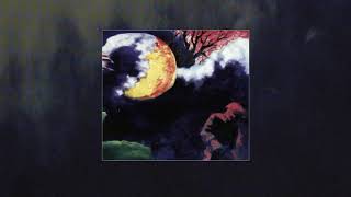 Wingtip Sloat - Chewyfoot (1995)