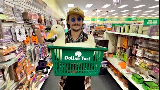 i took my duck to the Dollar Store Mp4 3GP & Mp3