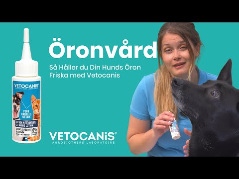 Hur man Tar Hand om Hundens Öron med Vetocanis Öronrengöringslotion