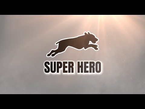 Super Hero - RunDownRiver