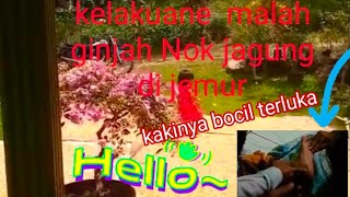 Download lagu  Kasian kakinya anak kembar terluka (Shinta Shanti)#viralvideo #kembar #@nitawongdheso8770  mp3 Download lagu  Kasian kakinya anak kembar terluka (Shinta Shanti)#viralvideo #kembar #@nitawongdheso8770  mp3