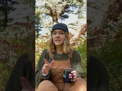 3 things I do to help my anxiety and fear when I go solo camping, backpacking or hiking! #camping