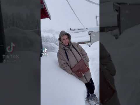 Tea dhe Bearti në lidhje