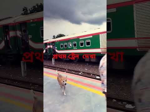 মারজুক মারোয়ানের প্রথম  ট্রেন  দেখা#everyone #hilight #flowers