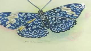 Curso de ilustração científica na UFMG