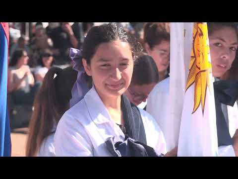 Río Negro celebró el Bicentenario con una masiva fiesta de tres días